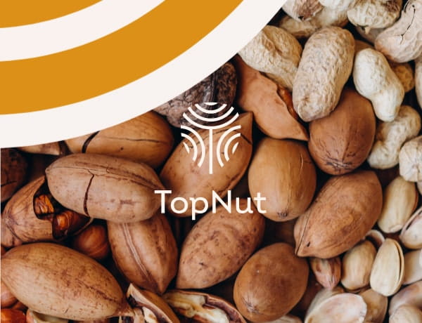 TopNut Web Design | Your global nut specialists